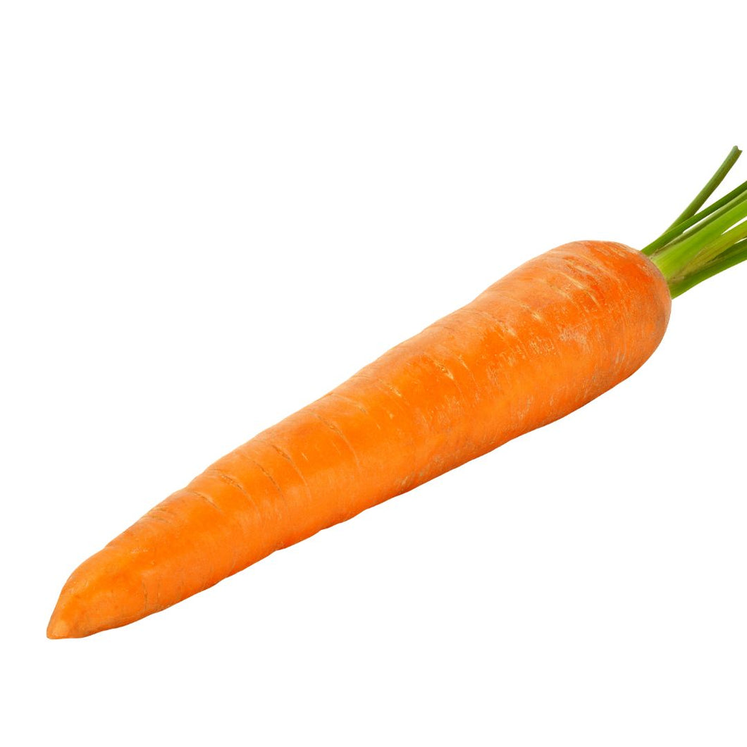 Carrot_single_certified_organic