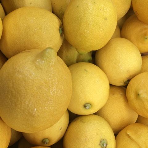 Lemons BULK (5kg) SAVE $10