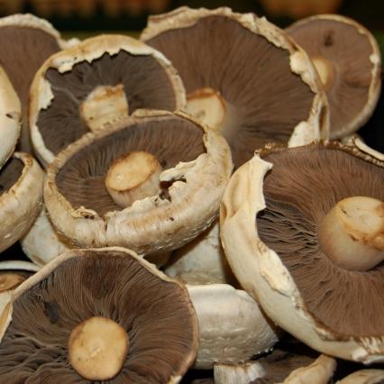 Mushrooms - Flat (250gm)