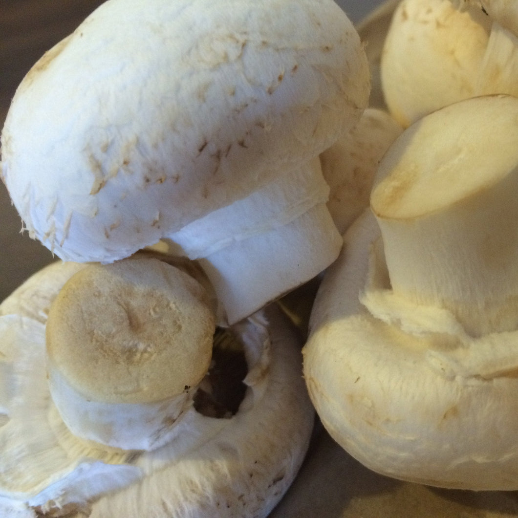 Mushrooms - Button BULK (2kg) SAVE $9