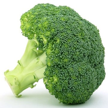 Organic-broccoli-single-brisbane-gold-coast