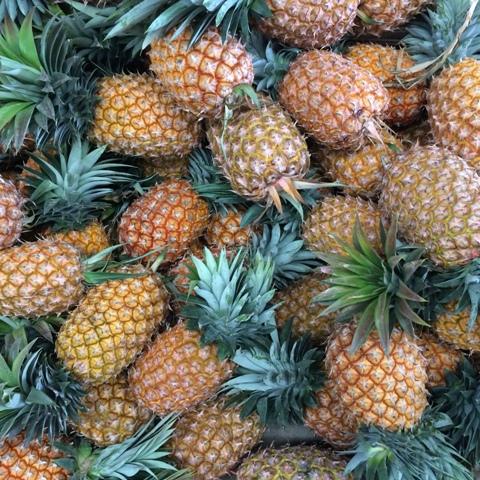 Spray Free Pineapples grown locally in Queensland