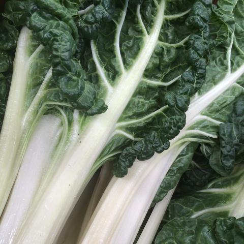 Silverbeet - Green Organic (bunch)