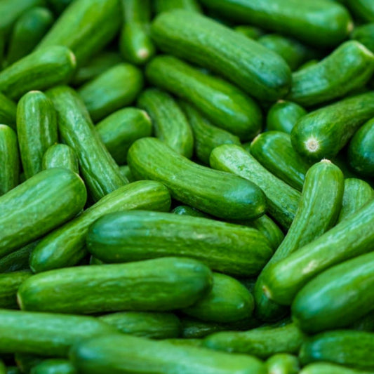 Sprayfree-organic-lunchbox-snack-baby-cucumbers