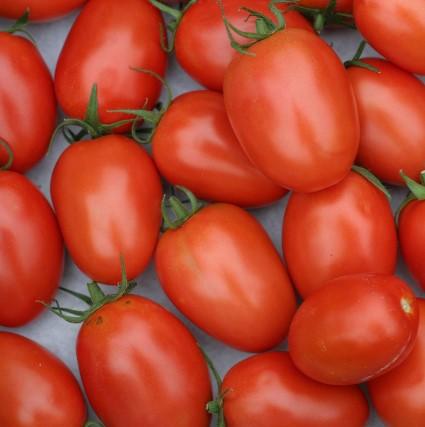 Tomatoes - Roma Spray-Free BULK (5kg) SAVE $6.25
