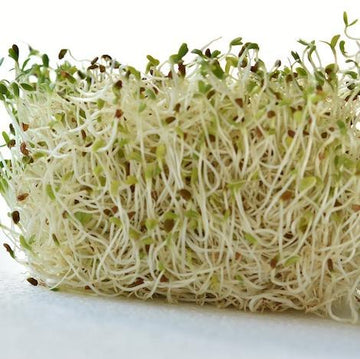 alfalfa sprouts organic fruits vegetables brisbane