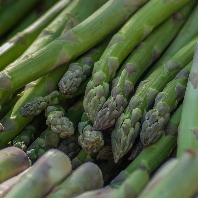 asparagus-organic-regenerative-farming-delivery