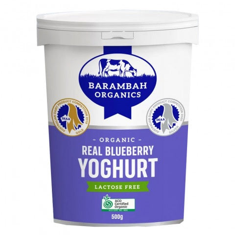    barambah-organics-blueberry-yoghurt-brisbane