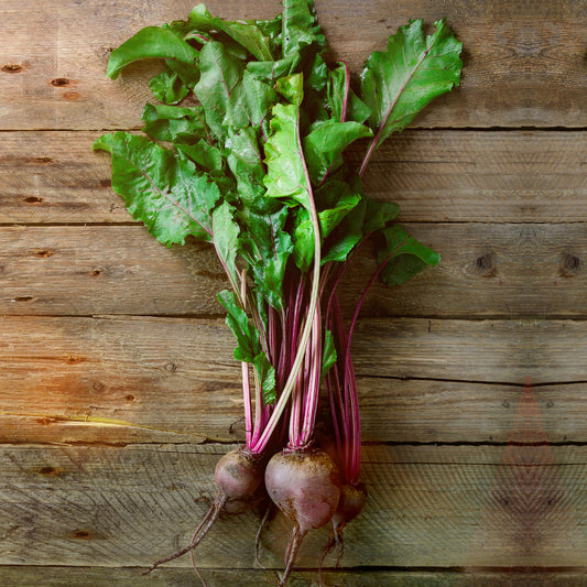 Beetroot - With Tops Spray-Free (Bunch)