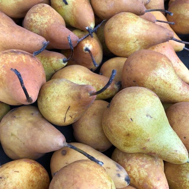 Pears - Beurre Bosc (500gm)