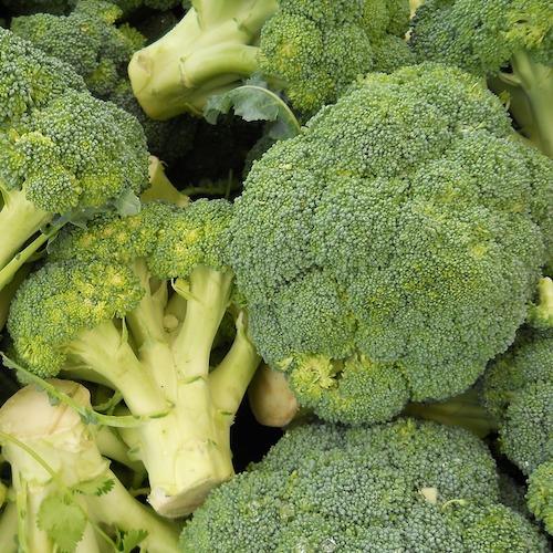 greens broccoli organic vegetables brisbane