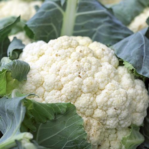 Fresh and tasty organic cauliflowers straight from the farm to you via home delivery in Brisbane