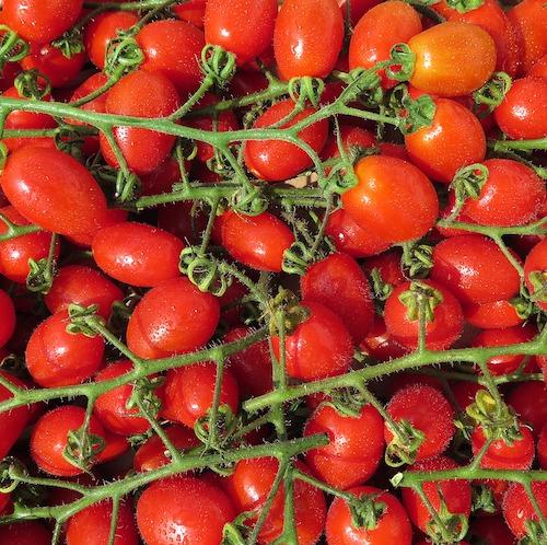 cherry-tomatoes-spray-free-farmacy