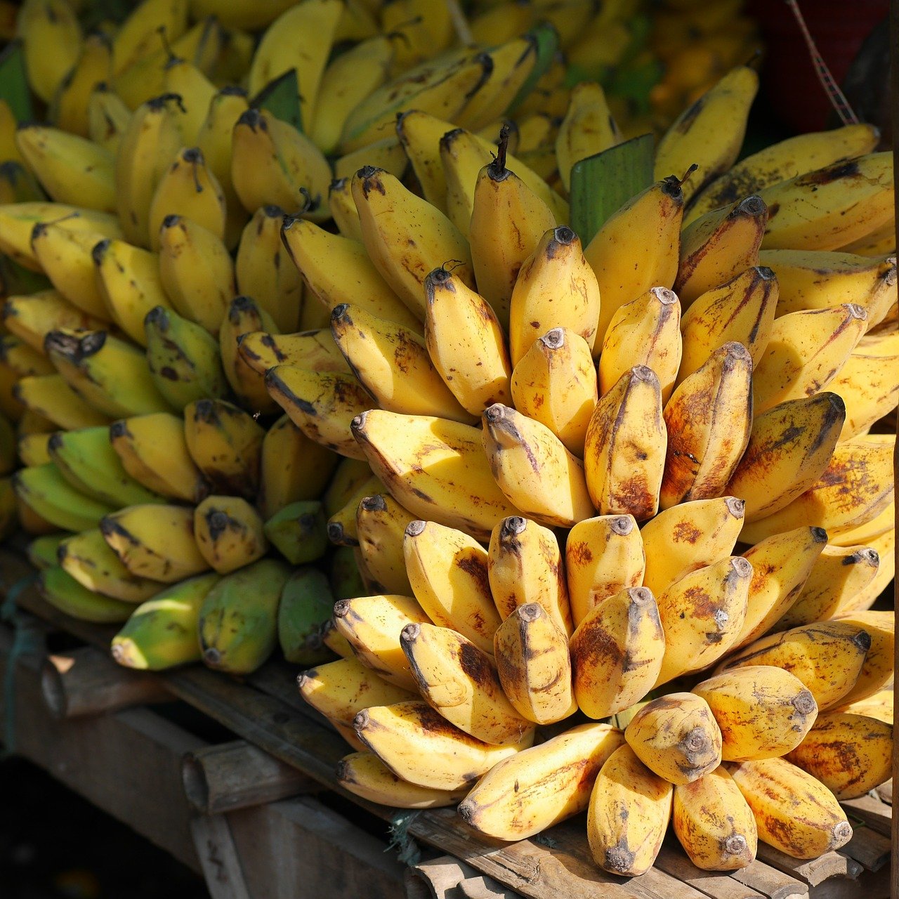 lady finger bananas organic fruits and vegetables brisbane