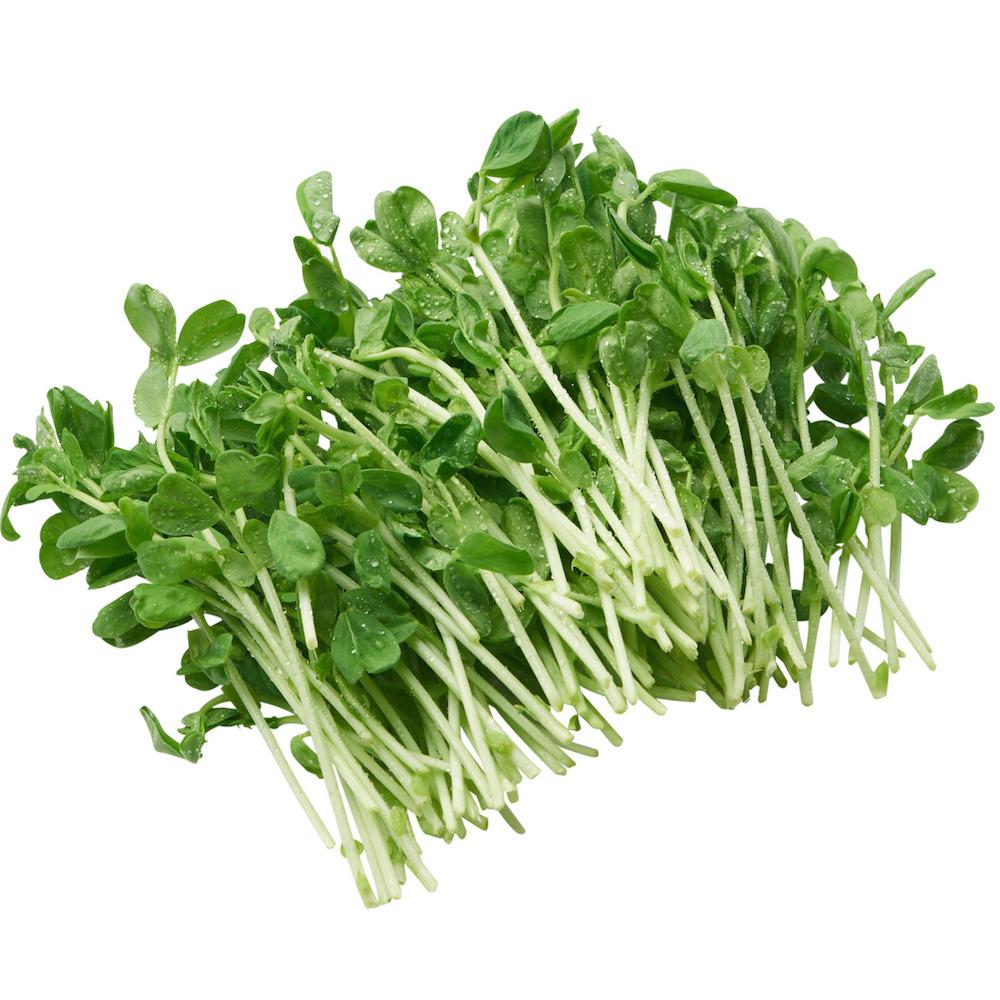 Snow Pea Sprouts (125gm punnet)