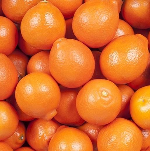 Tangelos (500gm)