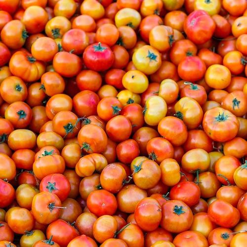 round-tomato-organic-spray-free-farmacy